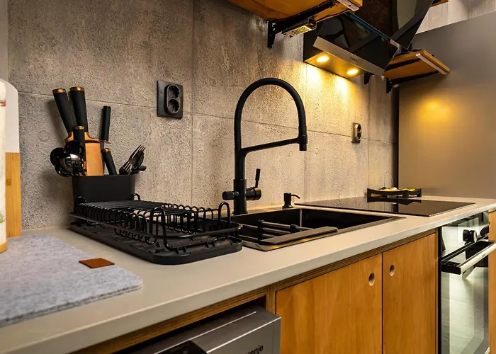 Industrial-style 2bd Loft With Parking Spot By Flat Mаnager 公寓 普罗夫迪夫